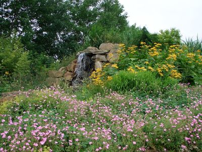 Referenzen aus 20 Jahren Gartenbau - Wassergarten